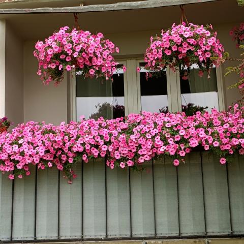 Balkon Nr 5