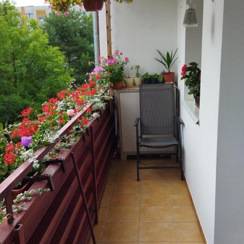 Balkon Nr 4