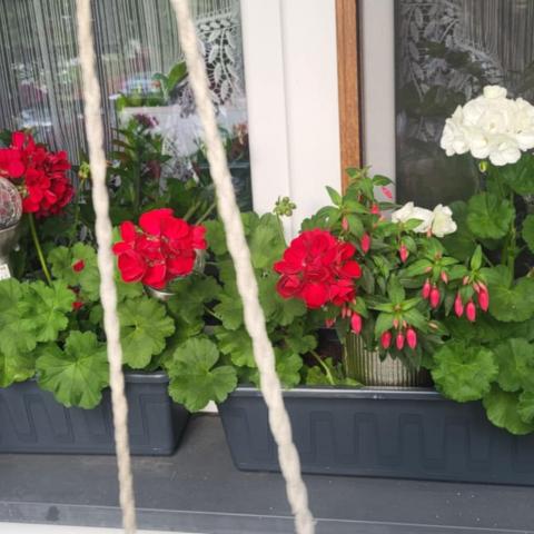 Balkon Nr 3