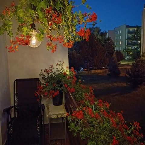 Balkon nr 3