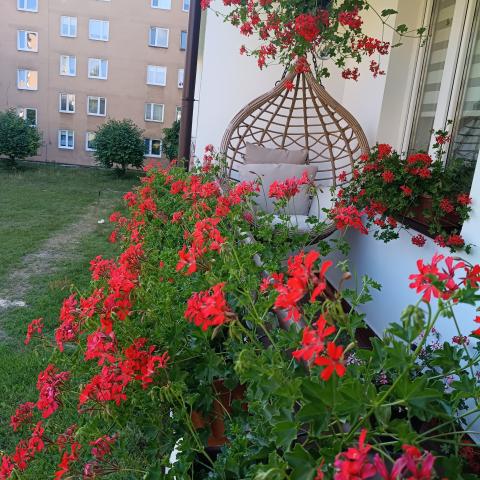 Balkon nr 3