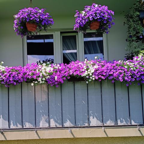 Balkon nr 4