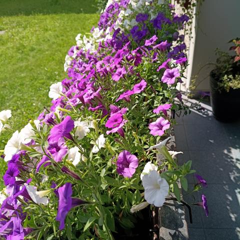 Balkon nr 4