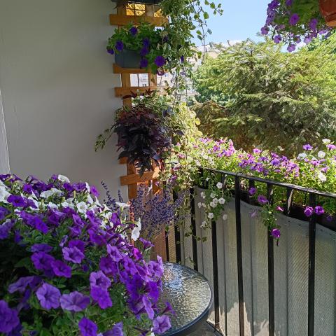 Balkon nr 4