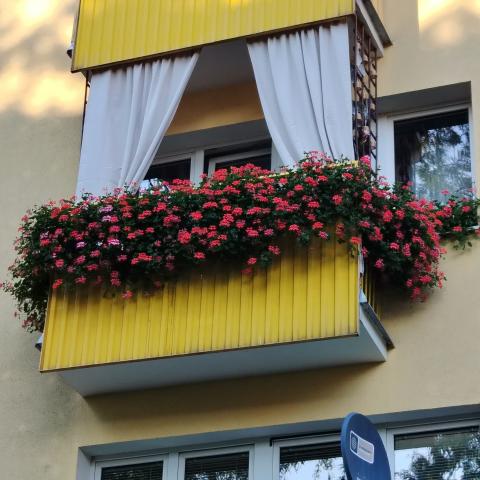 Balkon nr 5