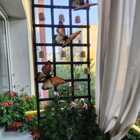 Balkon nr 5