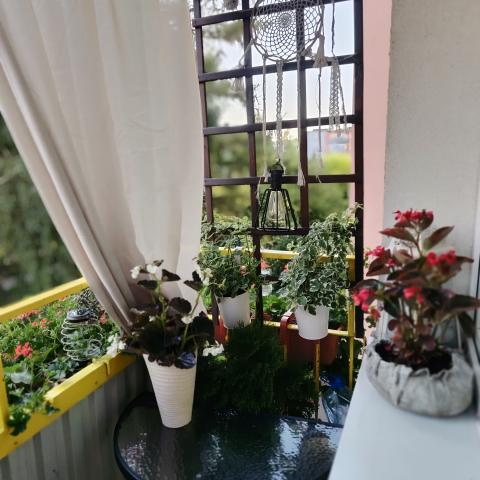 Balkon nr 5